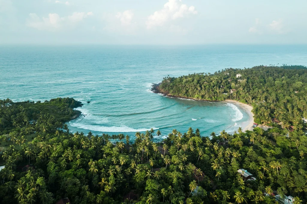 Aerial view of a crescent-shaped tropical bay with gentle ocean waves, bordered by a sandy beach and dense green palm tree forest.