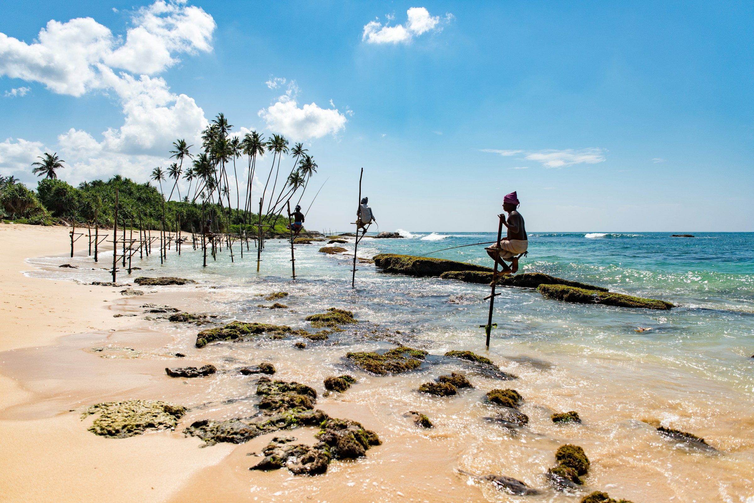 Traditional Sri Lankan stilt fishermen fishing along a tropical beach with palm trees and turquoise ocean water