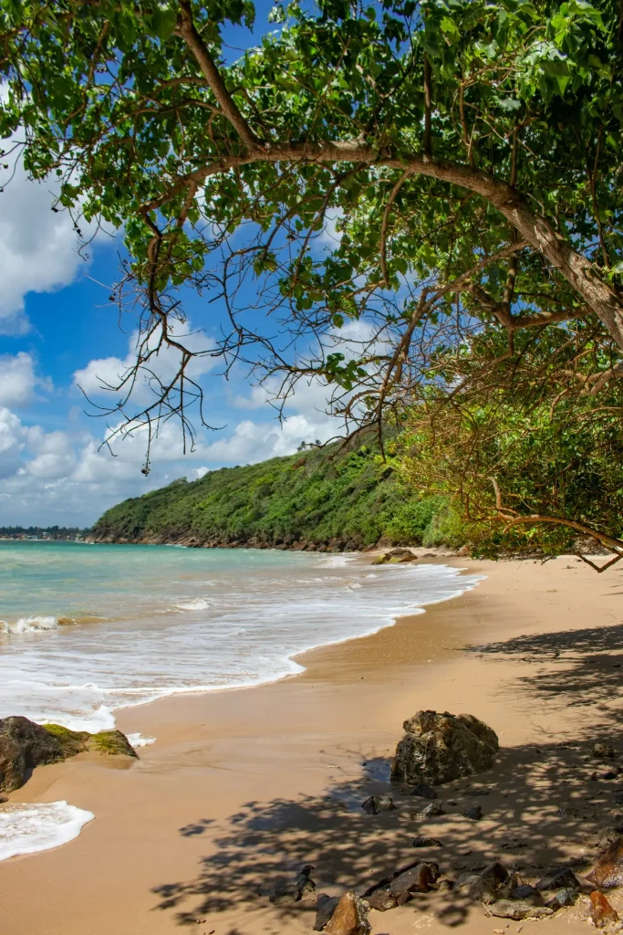 Sandy shoreline at Jungle Beach with trees and the Rumassala headland in Unawatuna, Sri Lanka