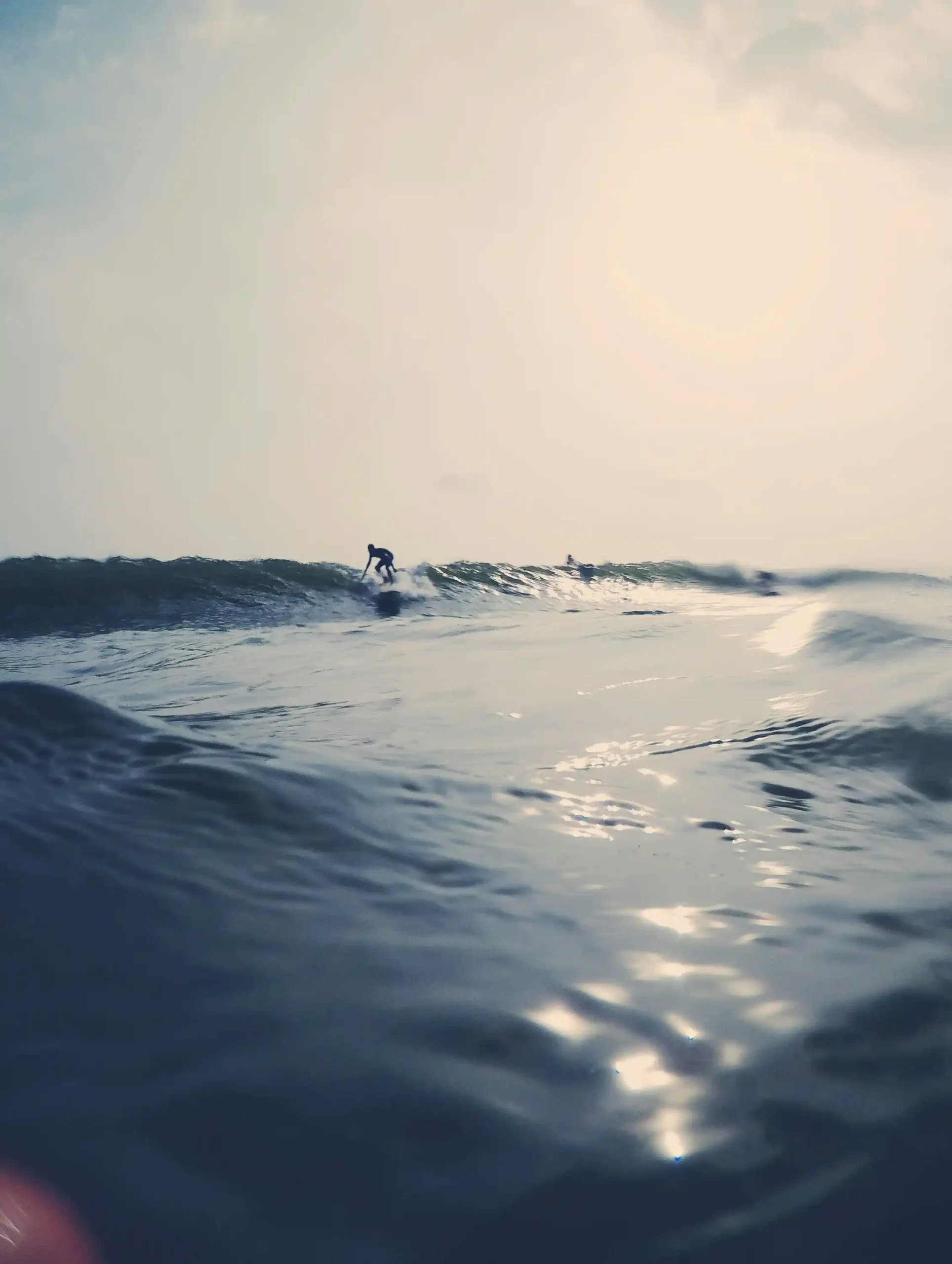Surfer riding a wave at Weligama Beach, Sri Lanka